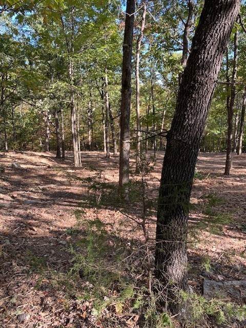 10. Land for Sale at 14760 Friendship Church West Fork, Arkansas 72774 United States