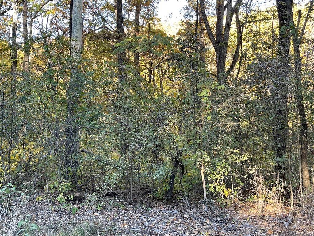 4. Land for Sale at 18 Tempest Lane Holiday Island, Arkansas 72631 United States