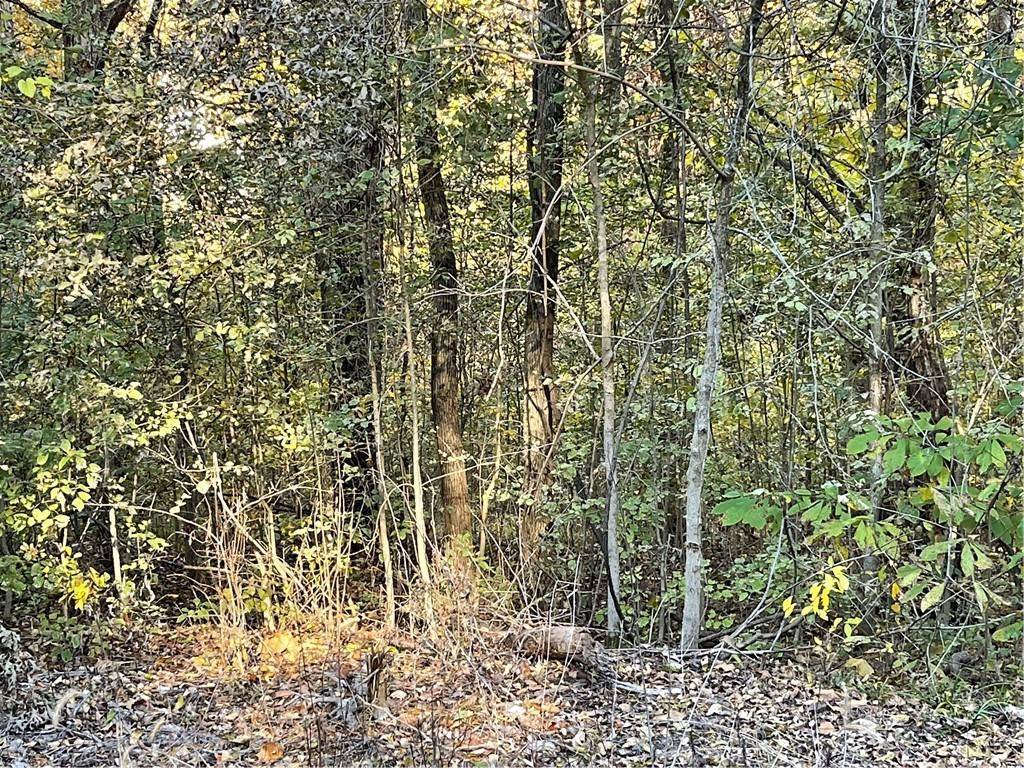 9. Land for Sale at 18 Tempest Lane Holiday Island, Arkansas 72631 United States