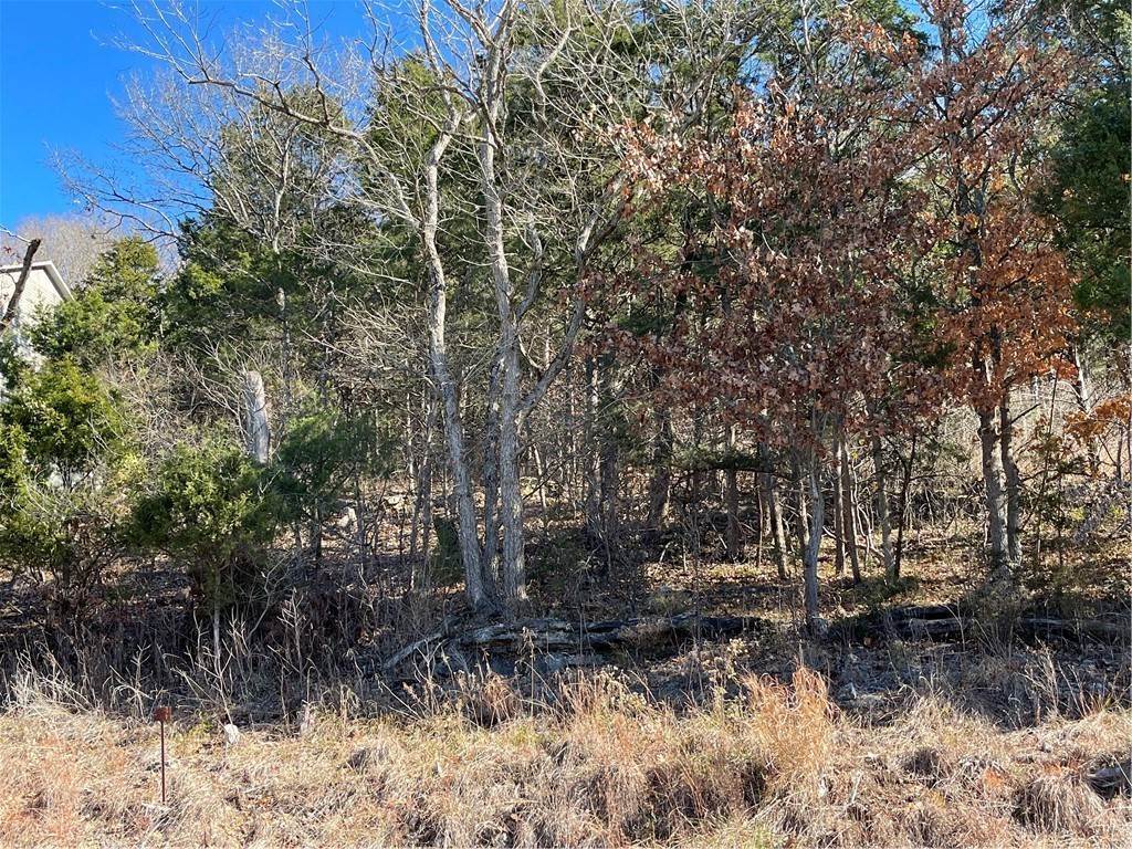 3. Land for Sale at 22 Stateline Drive Holiday Island, Arkansas 72631 United States