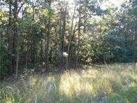 11. Land for Sale at 374 County Road 1160 Eureka Springs, Arkansas 72631 United States