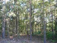 7. Land for Sale at 374 County Road 1160 Eureka Springs, Arkansas 72631 United States