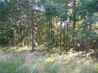 9. Land for Sale at 374 County Road 1160 Eureka Springs, Arkansas 72631 United States