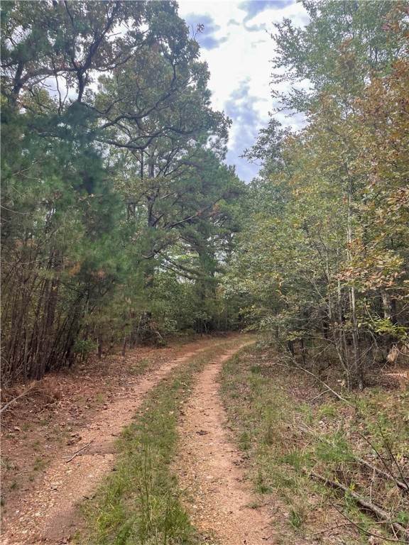 Land for Sale at 48751 County Road 642 Jay, Oklahoma 74346 United States