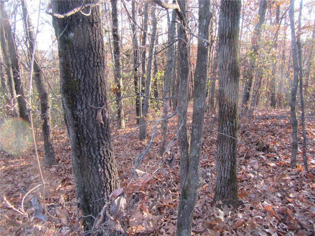 1. Land for Sale at Dickey (Anderson) Street Eureka Springs, Arkansas 72632 United States