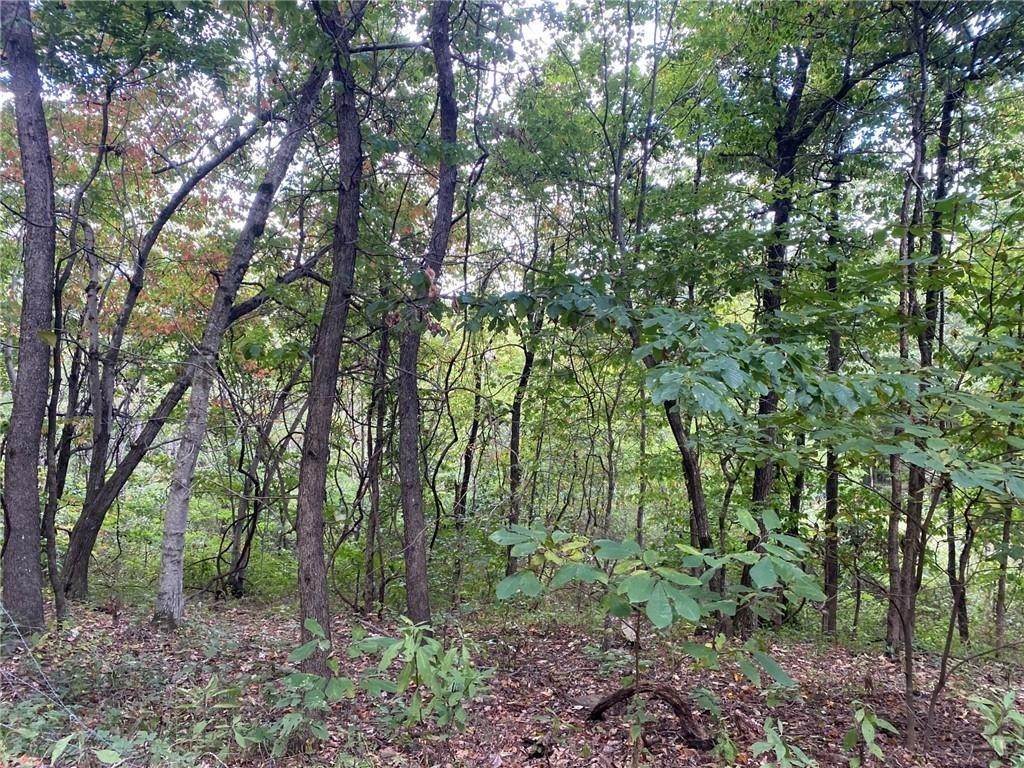 16. Land for Sale at 3491 Madison 5440 Tract 1 Combs, Arkansas 72721 United States