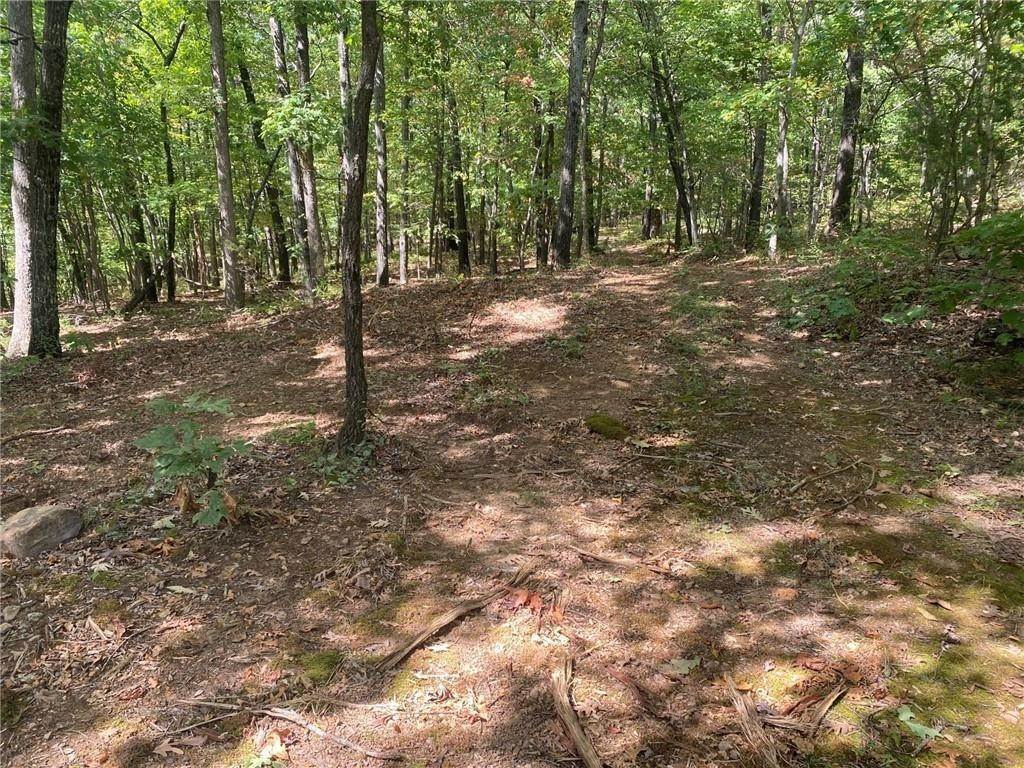 20. Land for Sale at 3491 Madison 5440 Tract 2 Combs, Arkansas 72721 United States