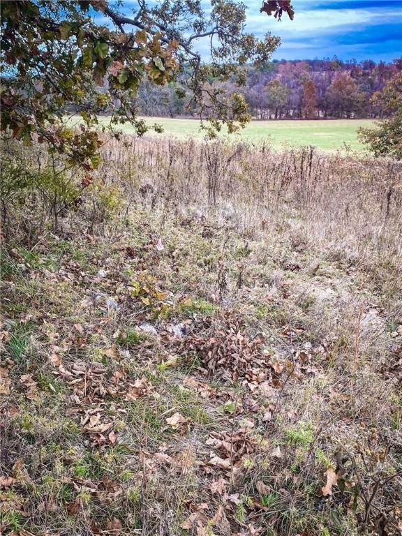 11. Land for Sale at 8800 Fred Austin Road Decatur, Arkansas 72722 United States