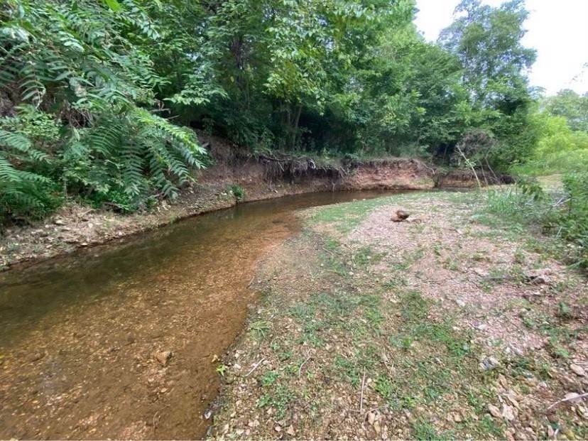 20. Land for Sale at 8800 Fred Austin Road Decatur, Arkansas 72722 United States