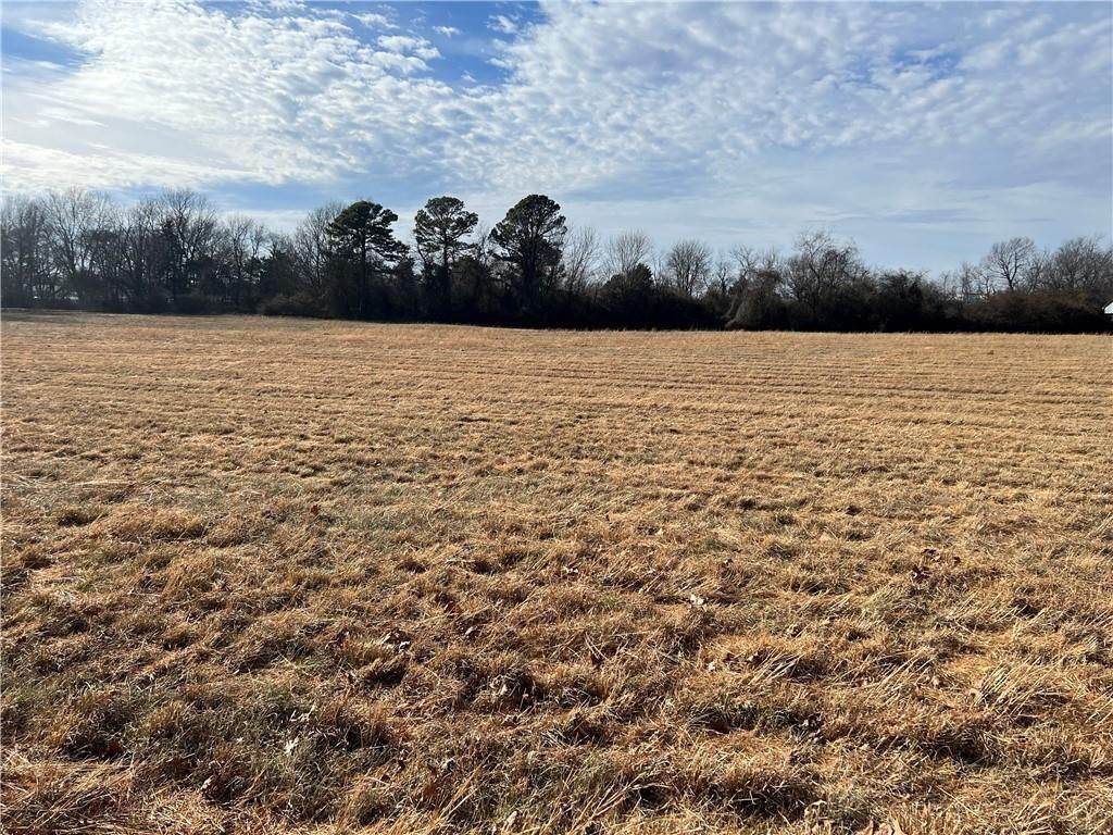 Land for Sale at 785 S Mitchell Avenue Lincoln, Arkansas 72744 United States