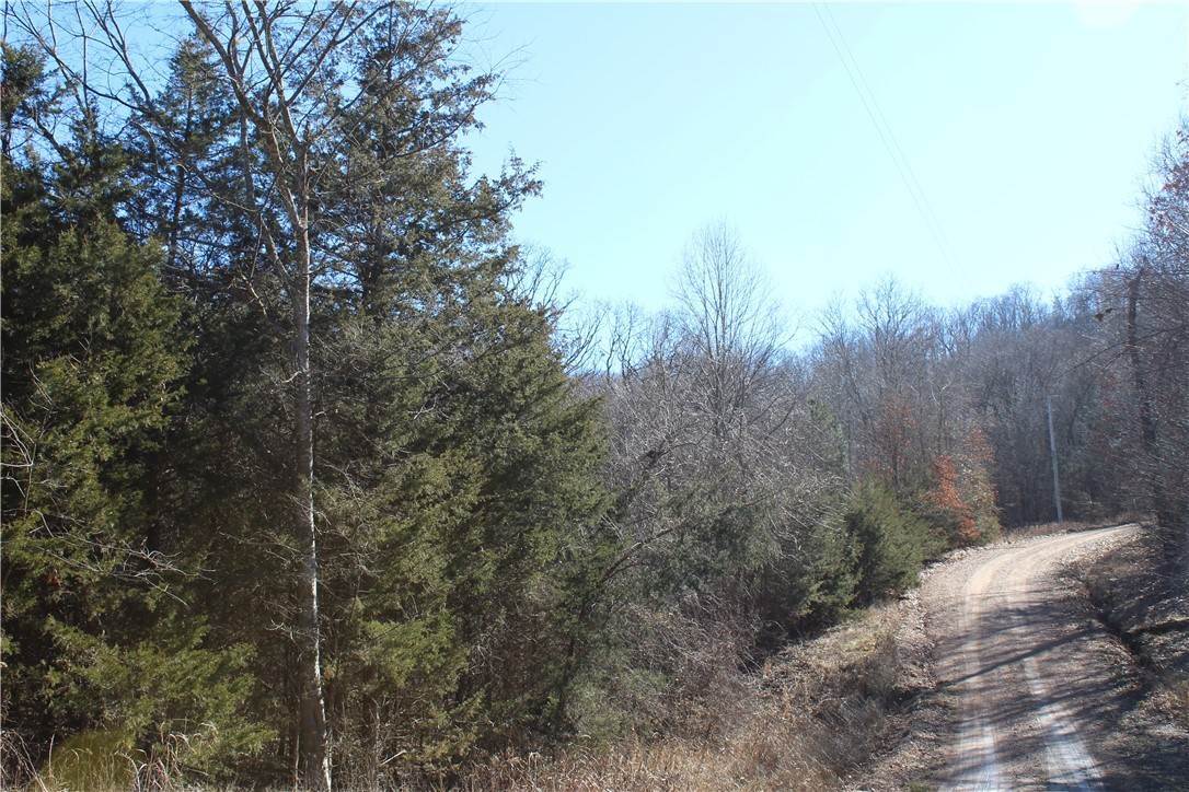 5. Land for Sale at TBD CR 6012 Berryville, Arkansas 72616 United States