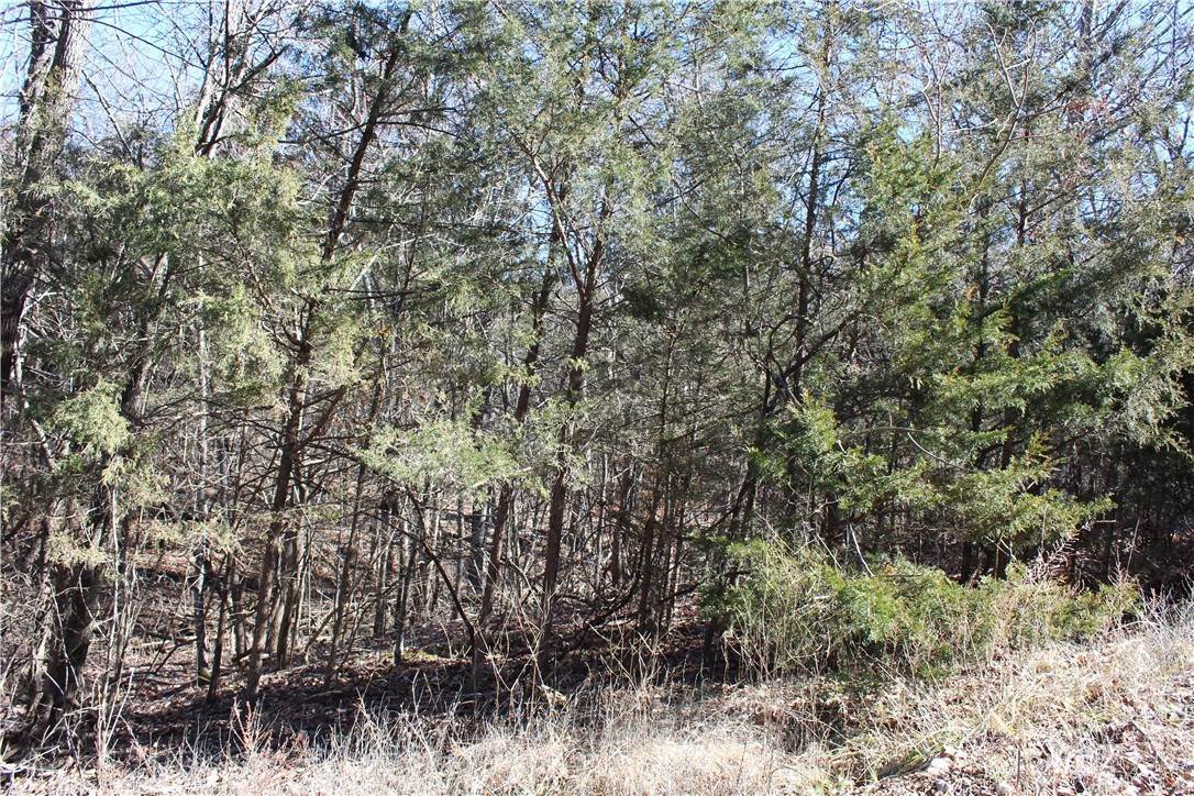 2. Land for Sale at Tract 4 & 5 CR 6012 Berryville, Arkansas 72616 United States