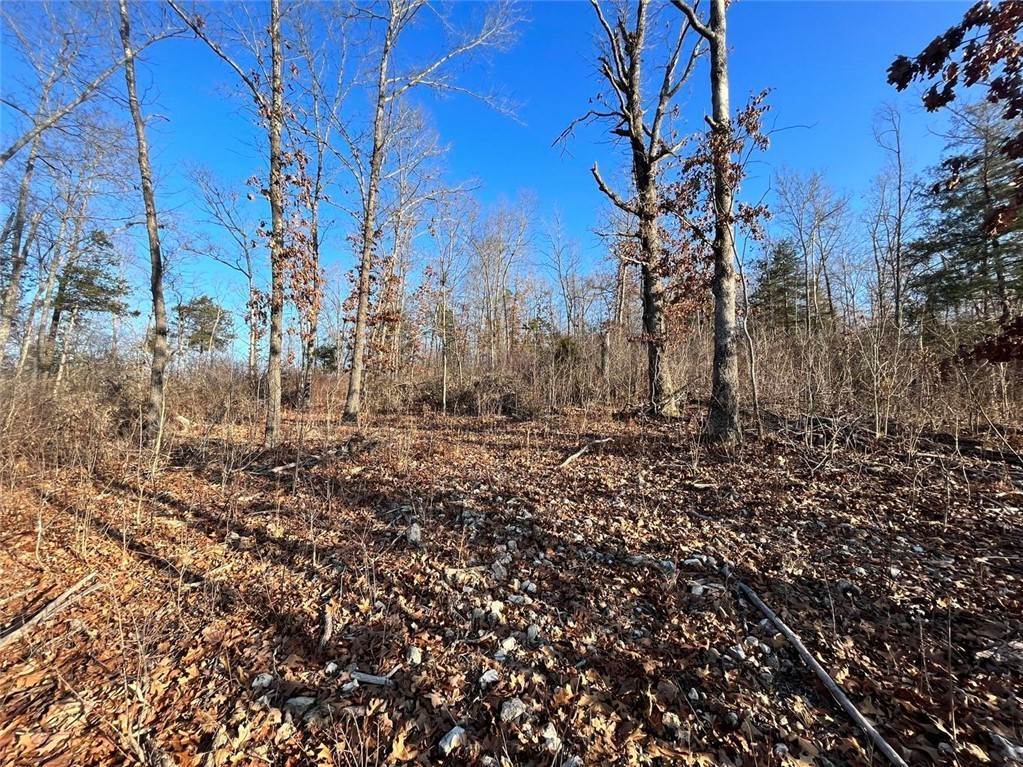 10. Land for Sale at Shaddock Hollow Road Western Grove, Arkansas 72685 United States