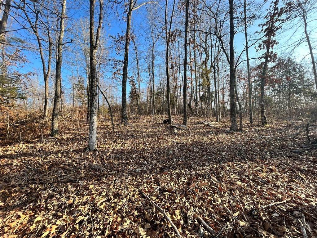 12. Land for Sale at Shaddock Hollow Road Western Grove, Arkansas 72685 United States