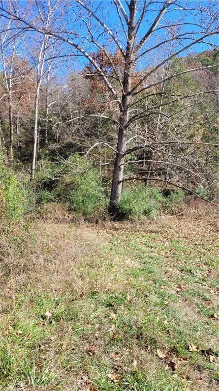 2. Land for Sale at 242 County Road 3011 Eureka Springs, Arkansas 72632 United States