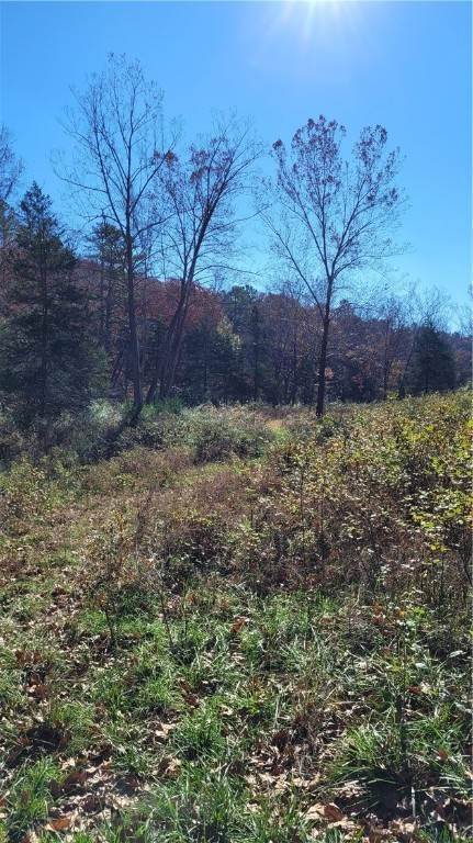 4. Land for Sale at 242 County Road 3011 Eureka Springs, Arkansas 72632 United States