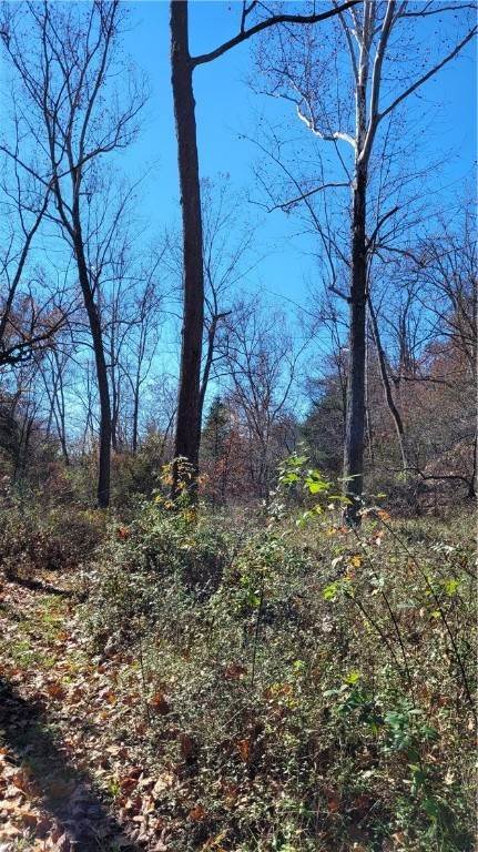 8. Land for Sale at 242 County Road 3011 Eureka Springs, Arkansas 72632 United States