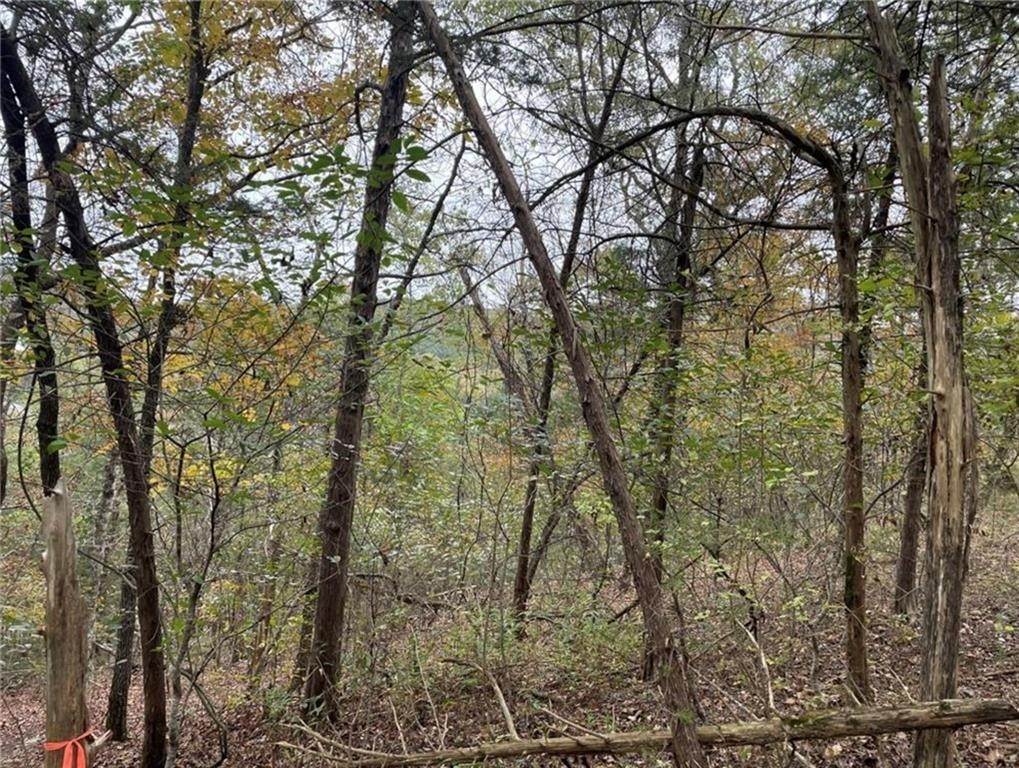 7. Land for Sale at 186 Table Rock Drive # 5 Holiday Island, Arkansas 72631 United States