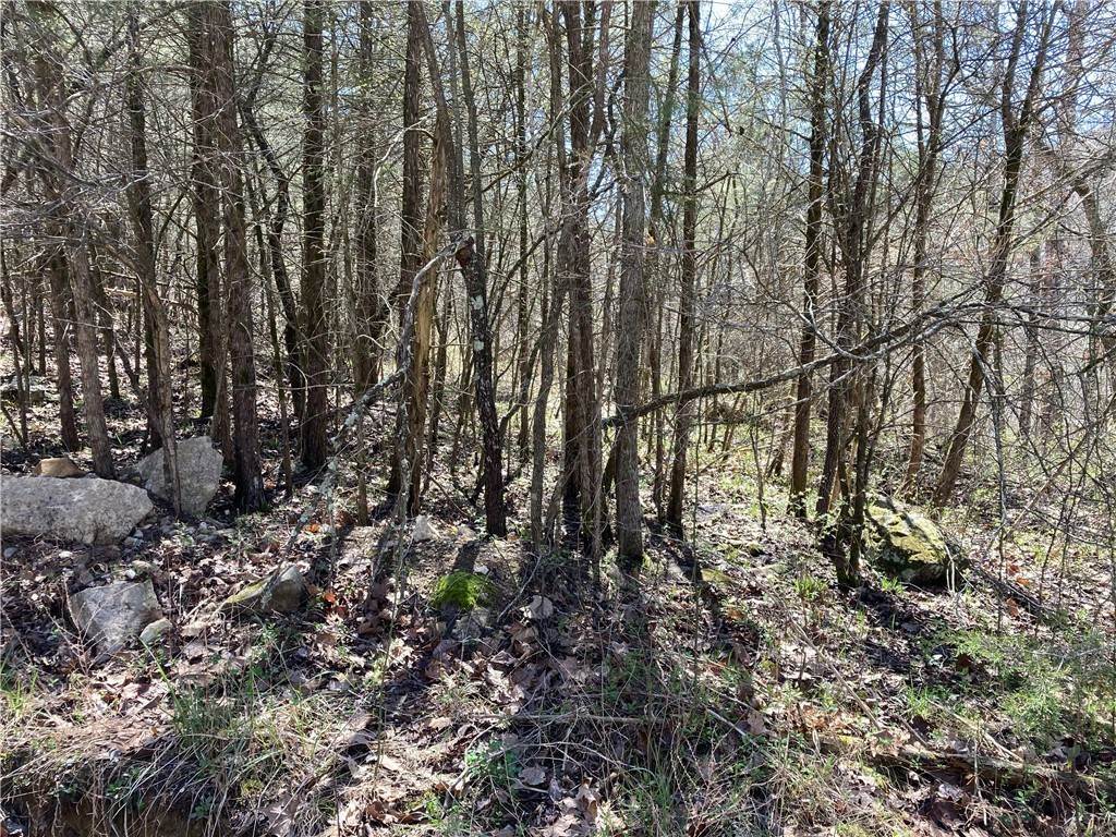 11. Land for Sale at County Road 317 Eureka Springs, Arkansas 72632 United States