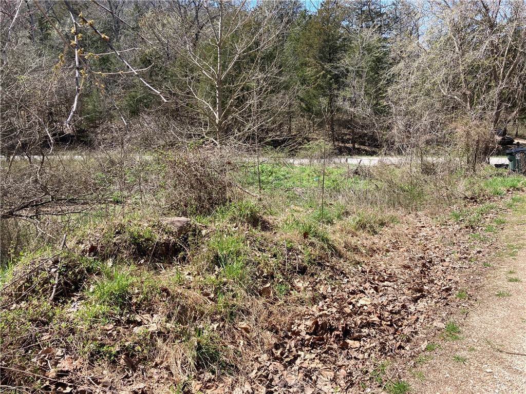 12. Land for Sale at County Road 317 Eureka Springs, Arkansas 72632 United States