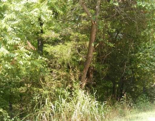 14. Land for Sale at 97 Beaver Drive Holiday Island, Arkansas 72631 United States