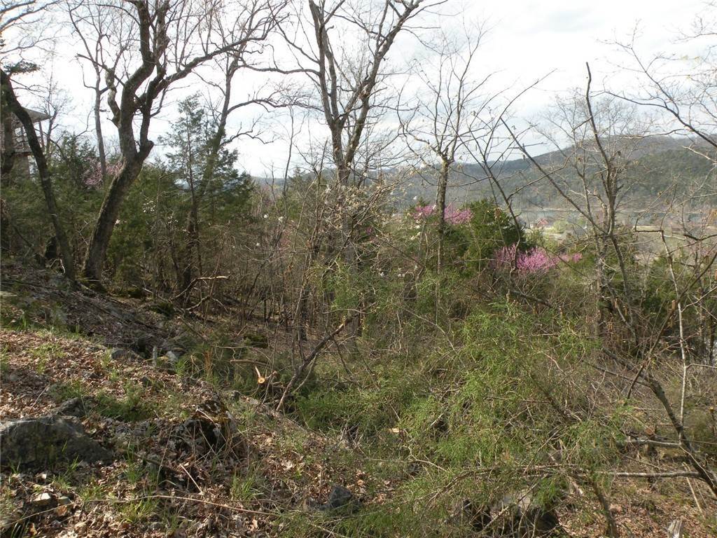 16. Land for Sale at 97 Beaver Drive Holiday Island, Arkansas 72631 United States