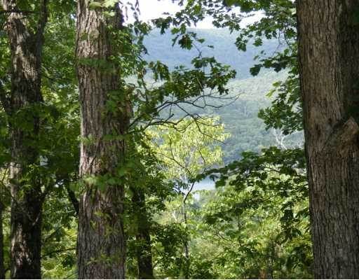 3. Land for Sale at 97 Beaver Drive Holiday Island, Arkansas 72631 United States