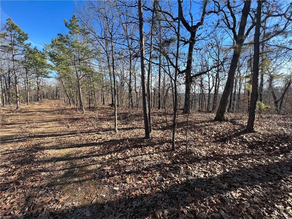 5. Land for Sale at CR 323 Tract B Eureka Springs, Arkansas 72632 United States