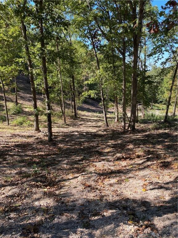 10. Land for Sale at Lots 101-105 E Robin Road Rogers, Arkansas 72756 United States