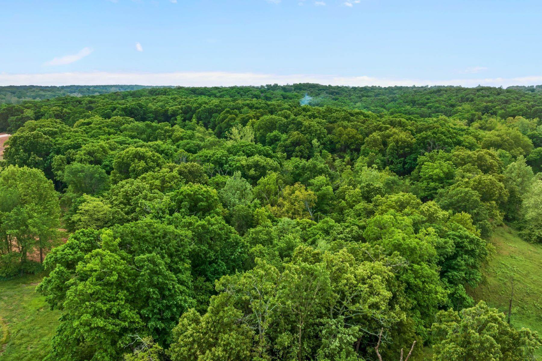 14. Land for Sale at 8136 Hill Country Dr., Decatur, AR 72722 8136 Hill Country Dr. Decatur, Arkansas 72722 United States