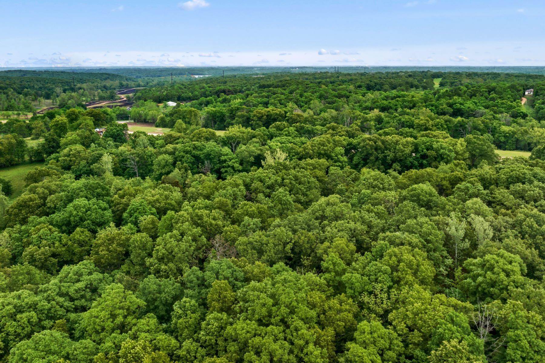 15. Land for Sale at 8100 Hill Country Dr., Decatur, AR 72722 8100 Hill Country Dr. Decatur, Arkansas 72722 United States